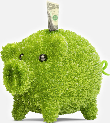 green-piggy-bank-430